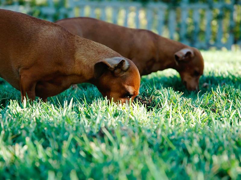 费米悖论<br>ujcbtdu.cn 大过滤器猜想